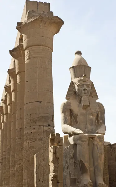 이집트에서 신전에서 조각상 — 스톡 사진