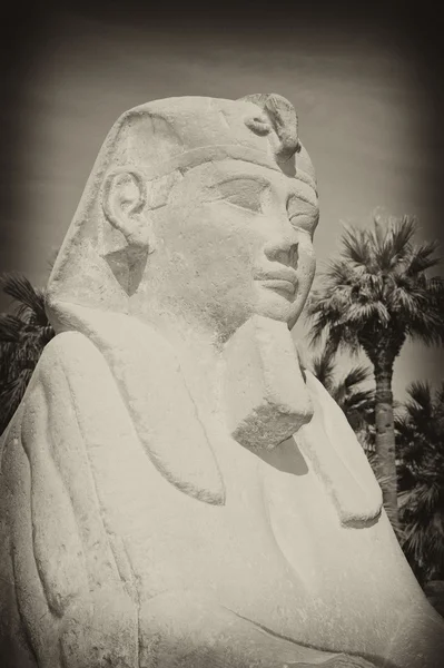 Niewielki Sfinks Przed Wejściem Świątyni Luksorskiej Egipcie Antykami Efekt — Zdjęcie stockowe