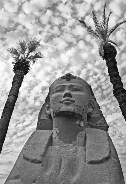Niewielki Sfinks otoczony dwoma palmami w czerni i bieli — Zdjęcie stockowe