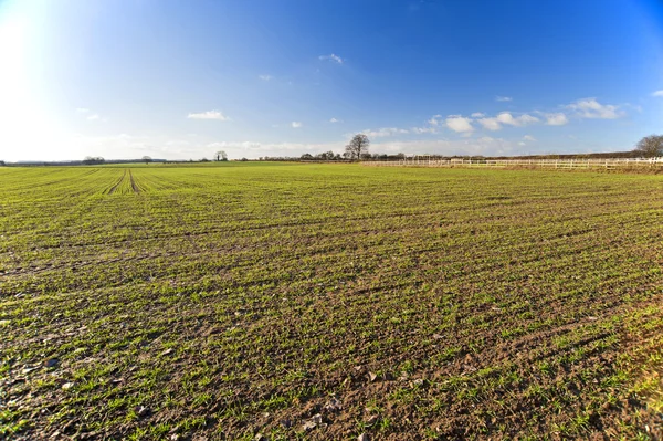 stock image Landscape view of farmland