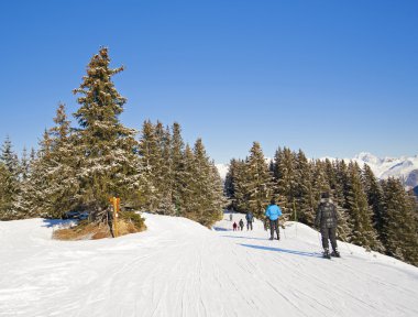 Skiers on track through trees clipart