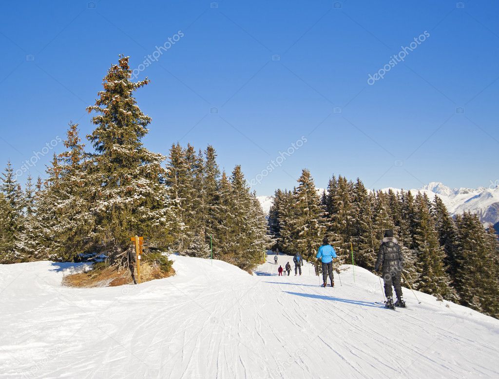 Skiers on track through trees