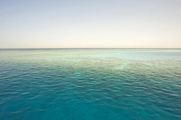 Mare tropicale con barriera corallina — Foto Stock