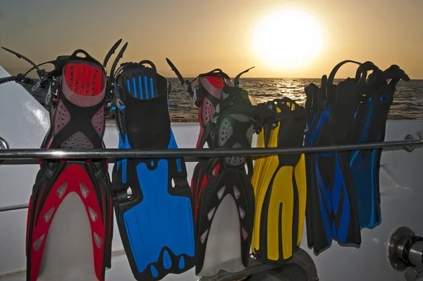 Barbatanas de mergulho em um rack de madrugada — Fotografia de Stock