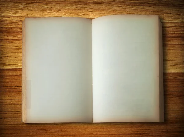 Livro velho aberto — Fotografia de Stock