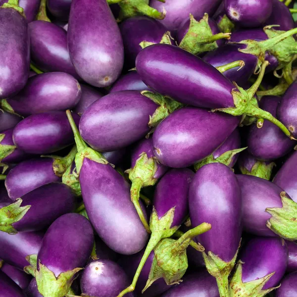 Paars aubergine — Stockfoto