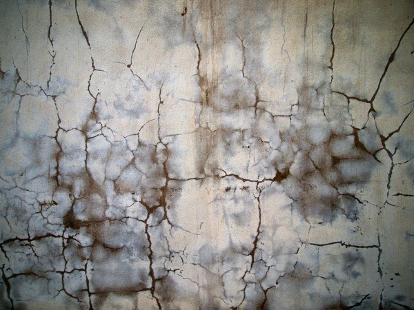 漆喰壁ウェット — ストック写真