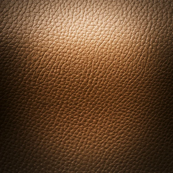 Light Brown Leatherette — Stock Photo, Image