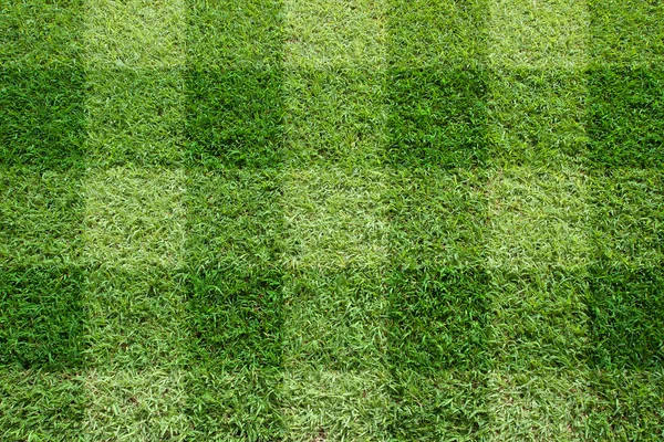 Pohled shora krásné čtvercové tón trávníku — Stock fotografie