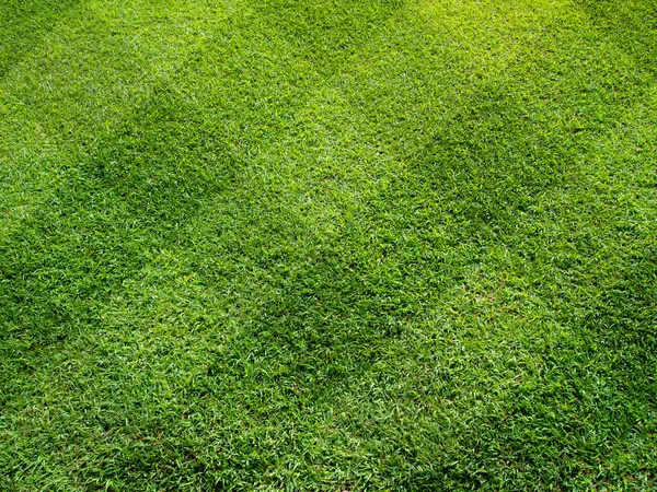 Vue du dessus de la belle pelouse de quarante-cinq degrés carrés — Photo