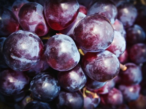 Purple grape — Stock Photo, Image