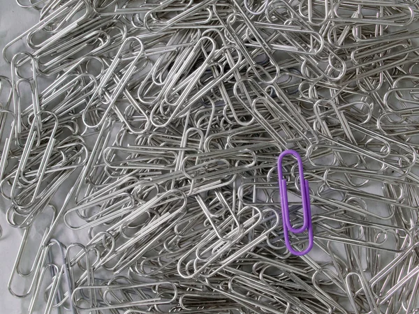 Violet and chrome paper clip — Stock Photo, Image
