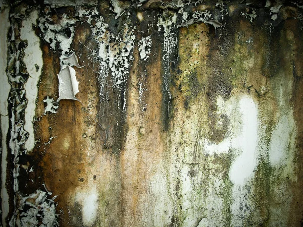 Raue alte nasse Wand — Stockfoto