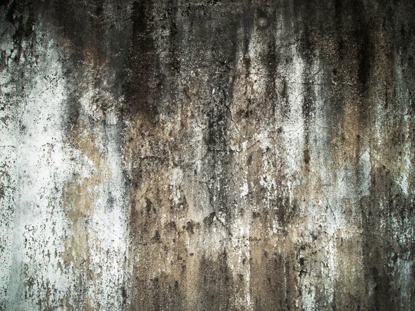 Crepe del vecchio muro — Foto Stock