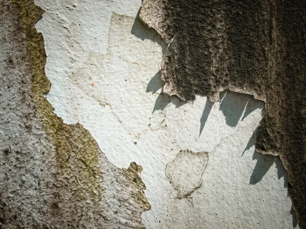 Abstracte ruwe oude muur — Stockfoto