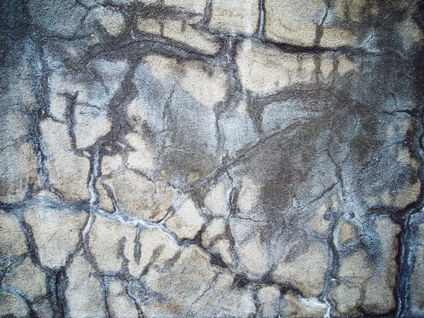 Wall plastered wet cement texture — Stock Photo, Image