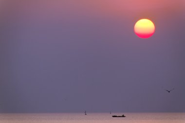 Güneş ve deniz, tekne ve kuş