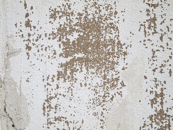 Eski çimento alçı duvar çatlakları — Stok fotoğraf