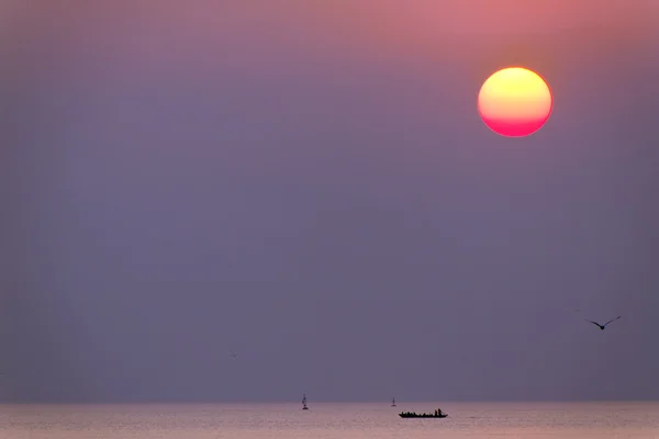 Soleil et mer, bateau et oiseau — Photo