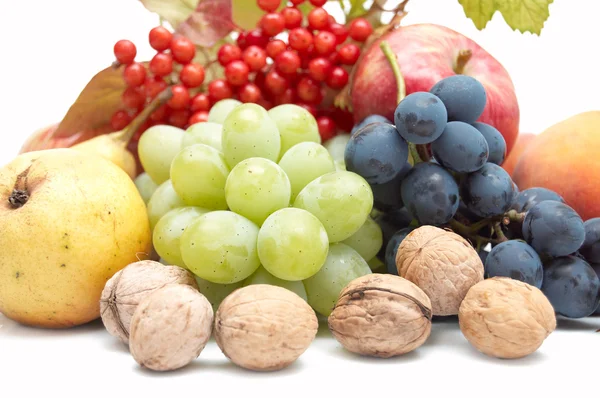 Harvest: Fresh autumn fruits — Stock Photo, Image