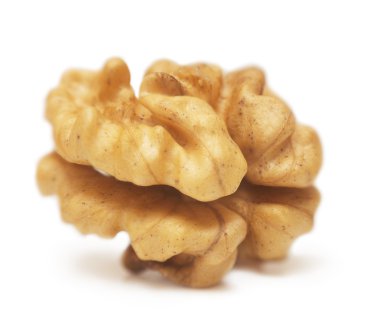 Circassian walnuts kernels in the form of brain clipart