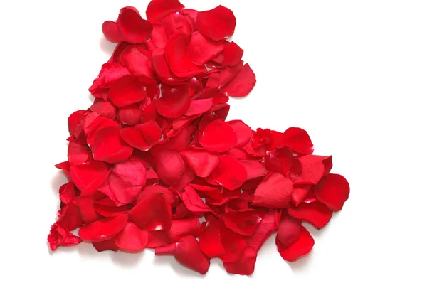 Corazón de pétalos de rosas rojas —  Fotos de Stock