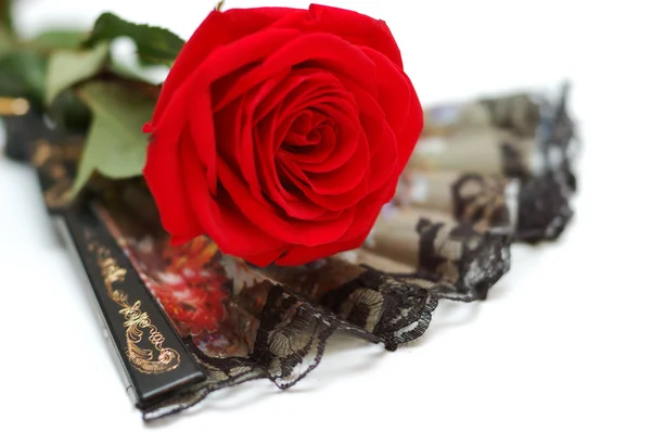 Černá flamenca ventilátor a červené růže — Stock fotografie