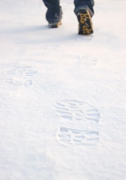 Fresh tracks from man boots on clean snow — Stock Photo, Image