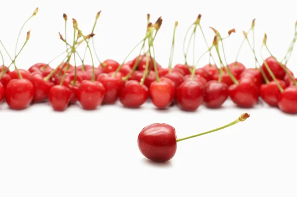 One cherry berry on front and many at background — Stock Photo, Image