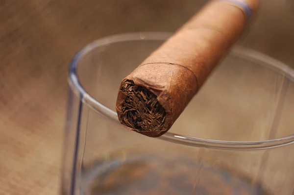 Kubansk cigarr på glas med wiskeyprovningar — Stockfoto