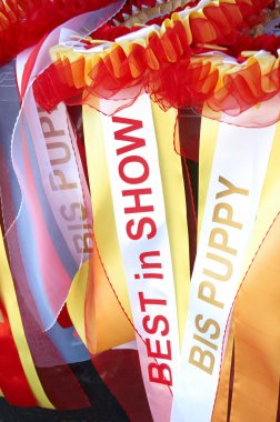 Awards in dog show (Best in show ribbon) clipart