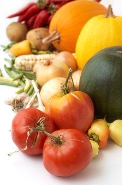 hasat. Olgun taze sebze: domates, kabak, soğan, biber ve diğer