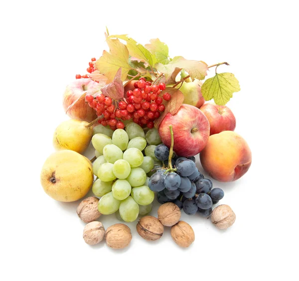 Fresh Fruits White Background — Stock Photo, Image