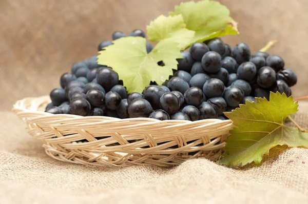 Blue Grapes Leaves Wicker — Stock Photo, Image