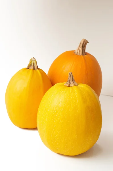 stock image Three ripe pumpkins