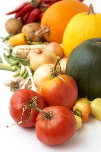 Sadonkorjuu Tuoreet Kypsät Vihannekset Tomaatit Kurpitsat Sipuli Pippuri Muut — kuvapankkivalokuva