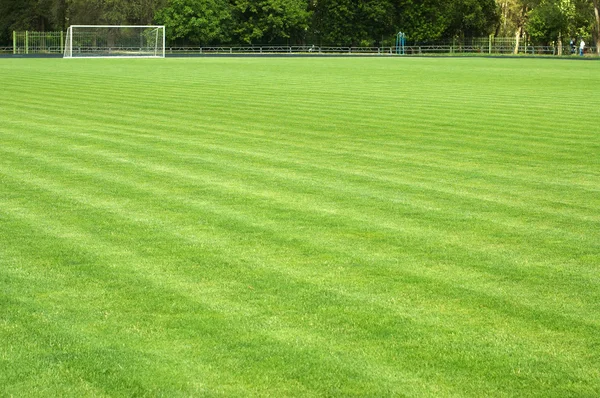 緑のサッカーのフィールドとの距離で目標 — ストック写真