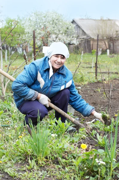 Stock image Happy woman farmer digging with spade