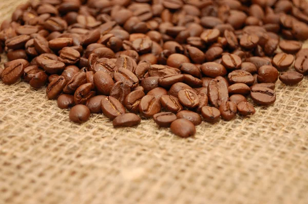 Coffee beans on the sacking — Stock Photo, Image