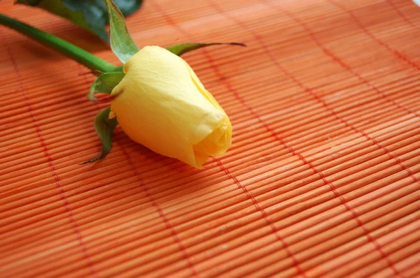 One yellow rose on red mat — Stock Photo, Image
