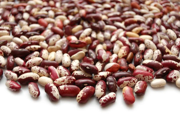 Spotted kidney beans — Stock Photo, Image