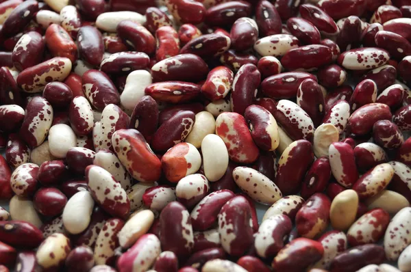 Spotted kidney beans — Stock Photo, Image