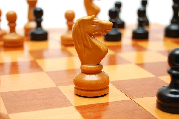 Ajedrecista caballero en tablero de ajedrez — Foto de Stock