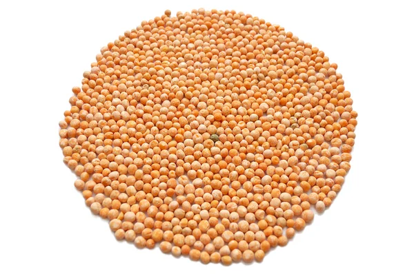 Circle of dry peas — Stock Photo, Image