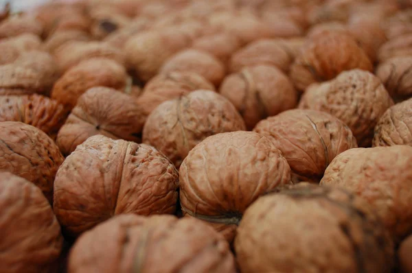 Circassian Walnuts — Stock Photo, Image