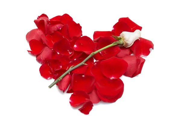 Herz Aus Roten Rosenblättern Und Weißer Blume Darauf — Stockfoto