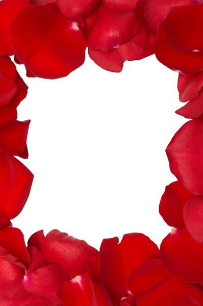 Frame van geïsoleerde rood roze bloemblaadjes — Stockfoto