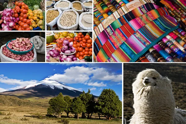Marché et paysage andin — Stock fotografie