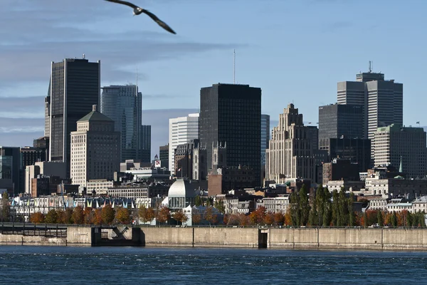 Ciudad Montréal — Foto de Stock
