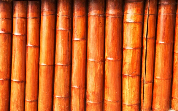 Bambúes —  Fotos de Stock
